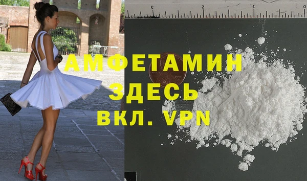 мет Алексин