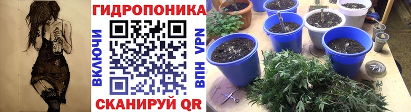 МАРИХУАНА тримм Щёлкино
